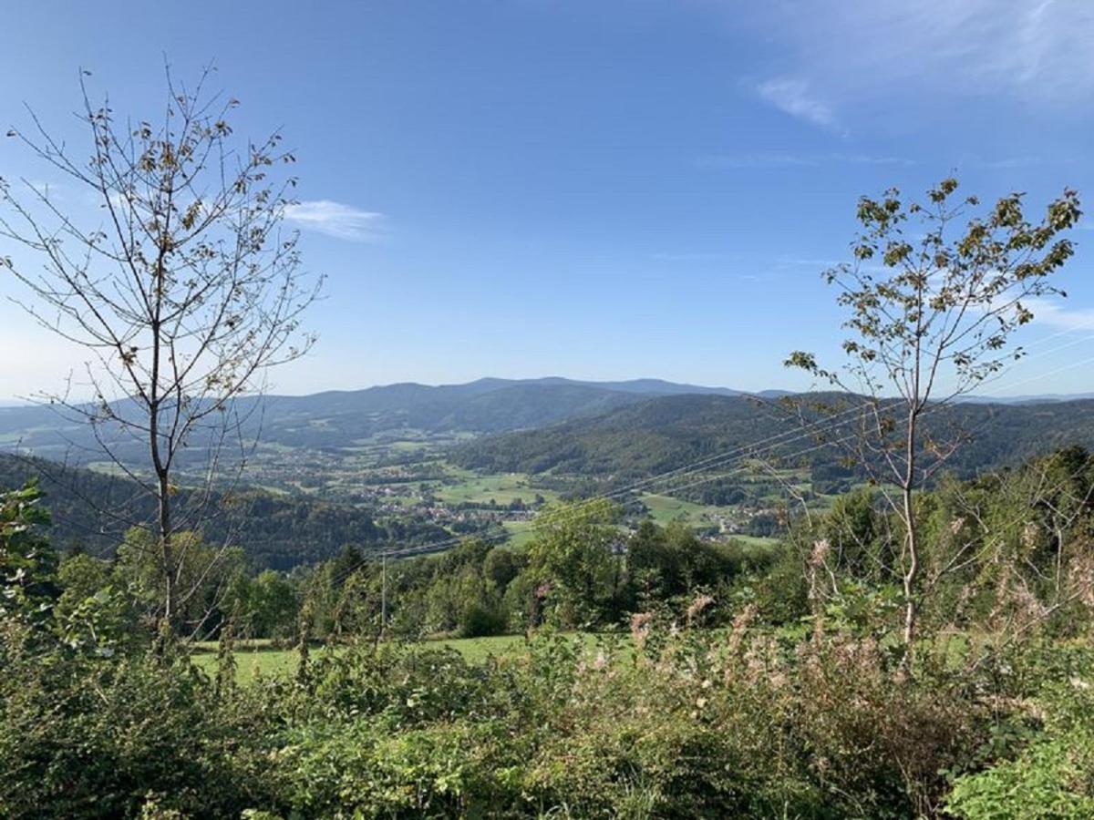 Ferienland Sonnenwald Fewo 46 Und Studio 50 In Schoefweg Bayerischer Wald Exterior photo