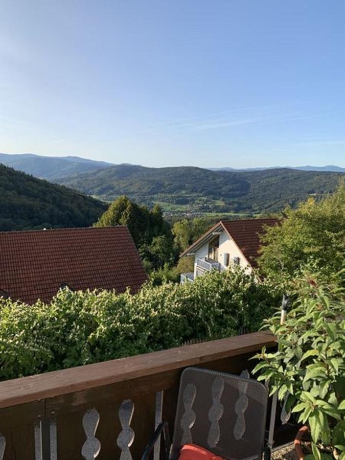Ferienland Sonnenwald Fewo 46 Und Studio 50 In Schoefweg Bayerischer Wald Exterior photo