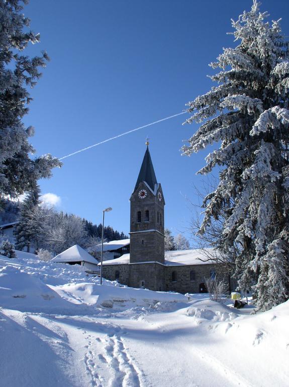 Ferienland Sonnenwald Fewo 46 Und Studio 50 In Schoefweg Bayerischer Wald Exterior photo